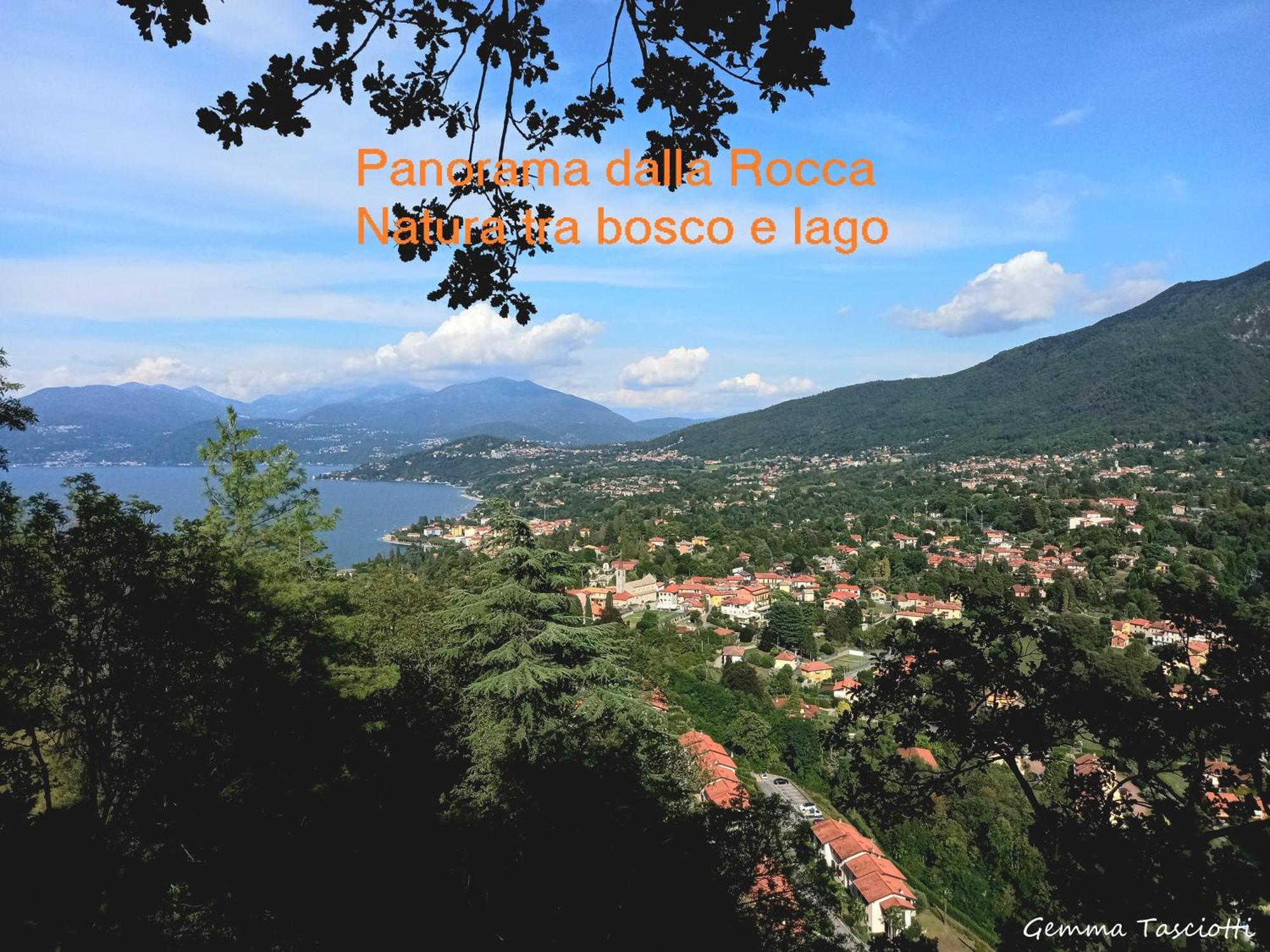 Natura Tra Bosco E Lago Castelveccana Экстерьер фото
